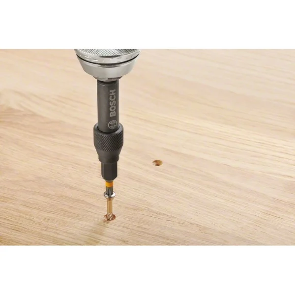 Набор из 20 бит Drill&Drive PH2; PH2; PZ2; SL5; H4; H5; T15; T20; T25 Bosch 2607002786 — изображение 3