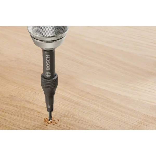 Набор из 20 бит Drill&Drive PH2; PH2; PZ2; SL5; H4; H5; T15; T20; T25 Bosch 2607002786 — изображение 4