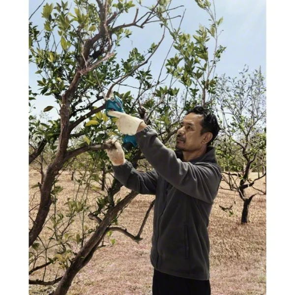 Аккумуляторный секатор Bosch Pro Pruner 06019K1021 — изображение 11