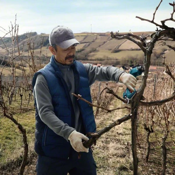 Аккумуляторный секатор Bosch Pro Pruner 06019K1021 — изображение 10